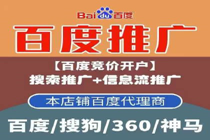 成功企业SEM竞价代运营案例研究